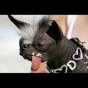 Meet your Posher, Emily